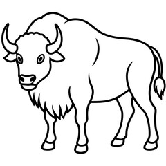 Wild Bison Outline line art