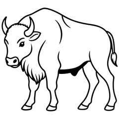 Wild Bison Outline line art