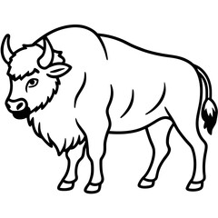 Wild Bison Outline line art