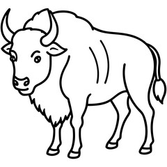 Wild Bison Outline line art