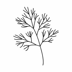 Dill Herb Leaf Outline Vector