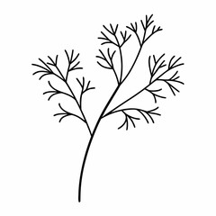 Dill Herb Leaf Outline Vector