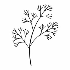 Dill Herb Leaf Outline Vector
