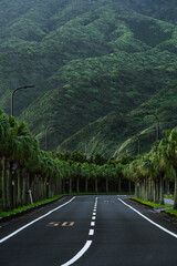 山麓の道路
