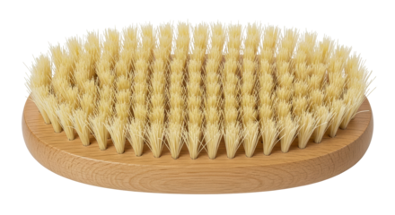 Isolated Wooden Scrub Brush