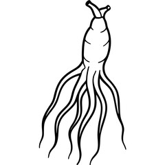 Ginseng Root Vector Outline