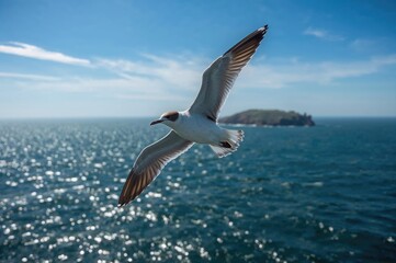 Fototapeta premium Seabird soaring above the open sea with vibrant feathers in a natural habitat