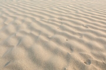 Complete Frame Organic Abstract Sandy Texture