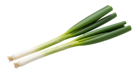 Isolated Green Onions