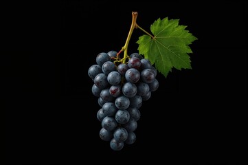 Fototapeta premium Still life composition of grapes on a dark background