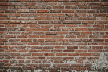 Fototapeta premium Surface of aged red brick masonry covered with moss and grass, showcasing a rustic limestone facade.