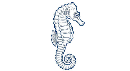 Fototapeta premium Isolated Sea Horse