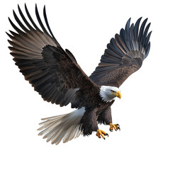Obraz premium Eagle in Flight Transparent Background Illustration