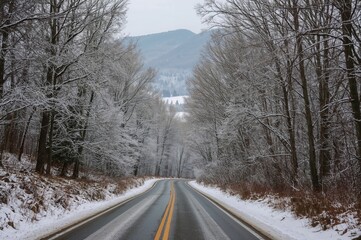Snow-covered woodland pathway in a rural region