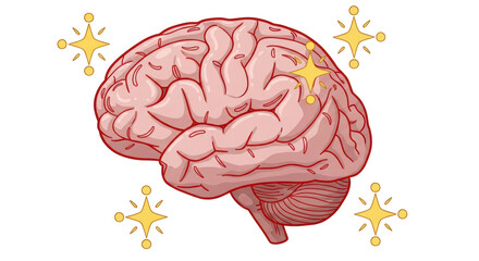 Isolated Brain with Glowing Stars