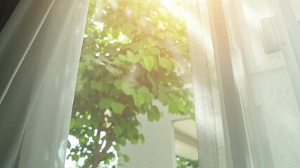 Opening the curtains to let in natural sunlight fills the room with warmth and brightness, supporting a healthy, cheerful home environment that enhances both mood and overall well-being.
