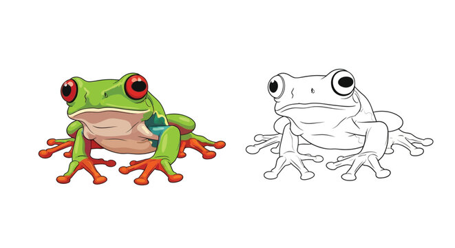 Amazon Tree Frog Coloring Page with Colorful Example and Detailed Line Art Outline
