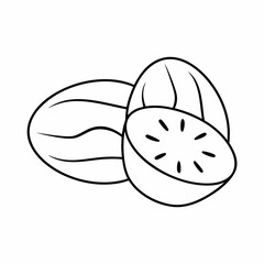 Nutmeg Spice Outline Vector