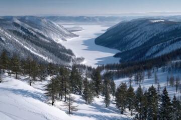 Obraz premium winter landscape of the Siberian mountains, covered in deep snow with tall pine forests stretching endlessly