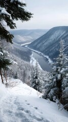 Fototapeta premium winter landscape of the Siberian mountains, covered in deep snow with tall pine forests stretching endlessly