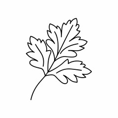 Parsley Leaf Vector Outline