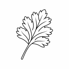 Parsley Leaf Vector Outline