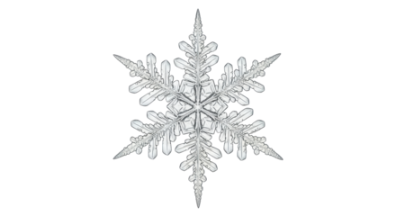 Isolated Snowflake