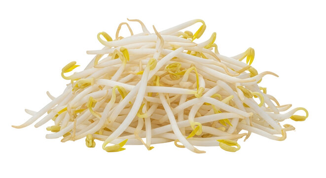 Isolated Mung Bean Sprouts
