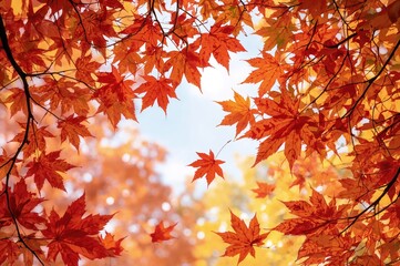 Fototapeta premium Autumn leaves and foliage backdrop with maple elements. High-quality illustration