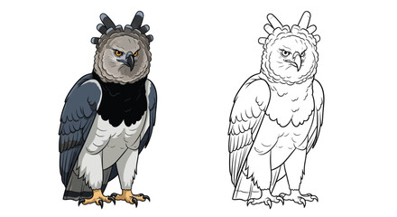 Obraz premium Detailed Harpy Eagle Coloring Sheet with Both a Colored and a Blank Outline Version