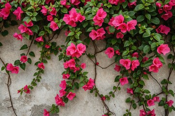 Flowering vines climbing a barrier