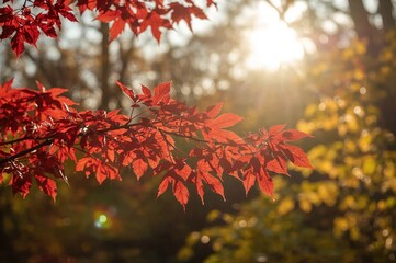 Red autumn leaves on a branch against a softly blurred backdrop in bright sunlight. Fall scenery with ample space for text