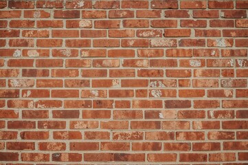 Fototapeta premium Red brick surface suitable for object placement