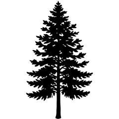Minimalist Pine Tree Silhouette Line Art Vector