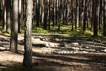 Fototapete bei efototapeten.de bestellen   