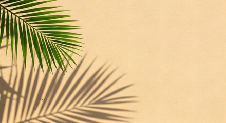 Fototapeta premium A single palm leaf in the top left casts a shadow on a peachcolored wall