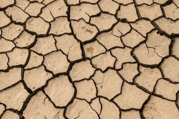 Grain harvest ruined by severe drought