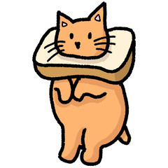An orange cat standing upright with a slice of toast collar around its neck, looking proud and slightly awkward. The pose is stiff but charming in a funny way.