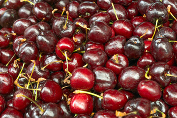 Sweet ripe cherries with stems. Closeup of fresh red cherries with stems showcasing juicy texture seasonal produce and organic fruit perfect for food background and vegetarian themes.