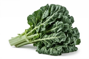 Bunch of fresh leafy green vegetable isolated on a white background