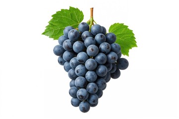 Fototapeta premium Cluster of blue grapes accompanied by leaves on a white backdrop. Design component featuring clipping path. Complete focus throughout the image.