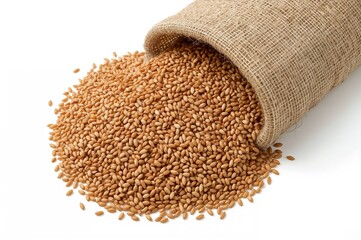 Uncooked Brown Rice in a Burlap Bag on a White Background