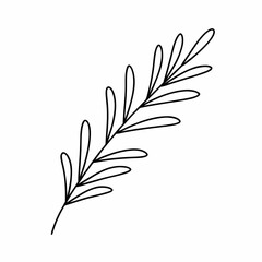 Rosemary Herb Outline Vector