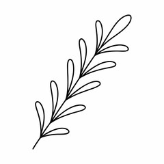 Rosemary Herb Outline Vector