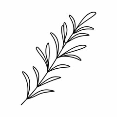 Rosemary Herb Outline Vector