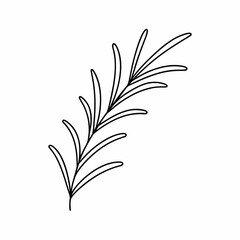 Rosemary Herb Outline Vector