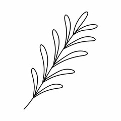 Rosemary Herb Outline Vector