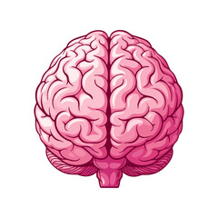 human brain vector illustration