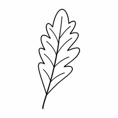 Sage Leaf Vector Outline