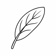 Sage Leaf Vector Outline